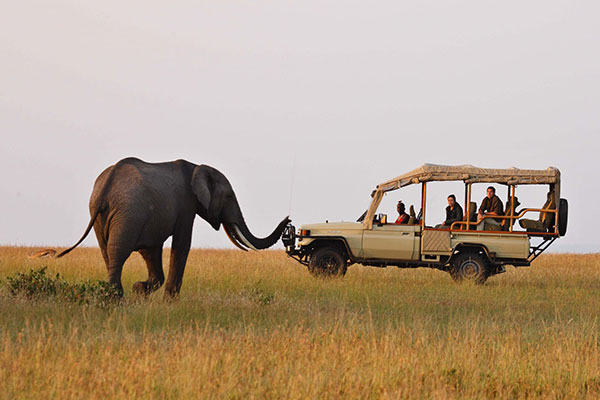 destination-img
